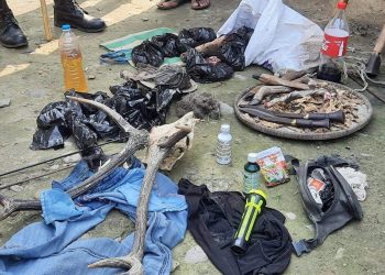 अवैध हतियारसहित सुनसरीबाट दुईजना पक्राउ 