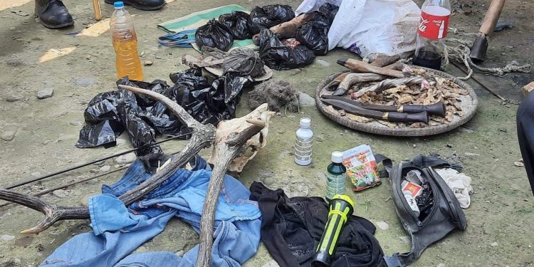 अवैध हतियारसहित सुनसरीबाट दुईजना पक्राउ