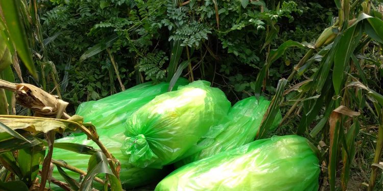 गाँजा तस्करीको ‘ट्राञ्जिट’ बन्दै सुनसरी