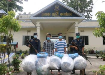रोकिएन गाँजा तस्करी : १२५ केजी गाँजा र पेस्तोलसहित दुईजना पक्राउ