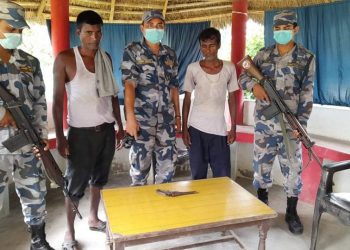 कटुवा पेस्तोलसहित दाजुभाइ पक्राउ