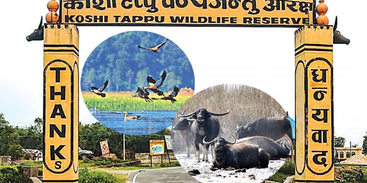 जनप्रतिनिधिको सक्रियतापछि निकुञ्ज बन्दै मृगकुञ्ज