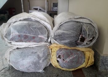 हरिपुरबाट ६० केजी गाँजा बरामद