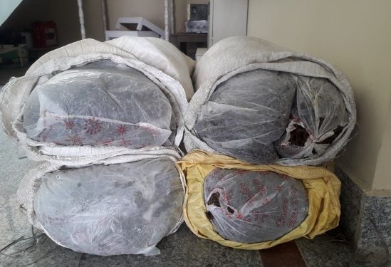 हरिपुरबाट ६० केजी गाँजा बरामद