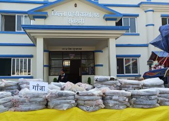 सुनसरी प्रहरीद्वारा १८० केजी गाँजा बरामद