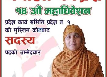 प्रदेश सदस्यमा जुलेखा खातुनको उम्मेदवारी
