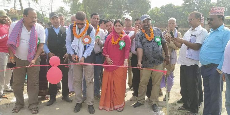 कोशीमा अध्यक्ष कप क्रिकेट प्रतियोगिता सुरु