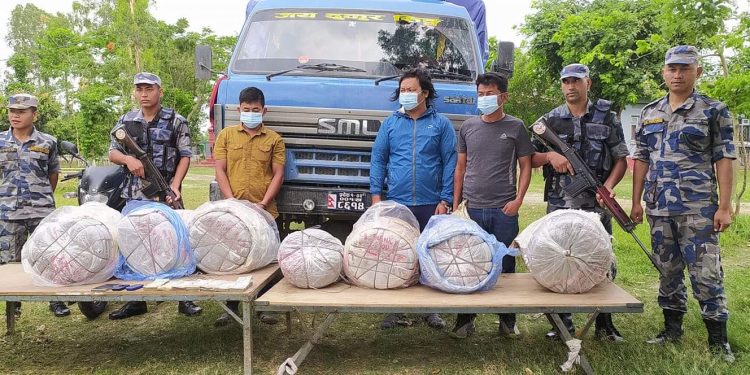 ठुलो परिणाम गाँजासहित सुनसरीबाट तीनजना पक्राउ