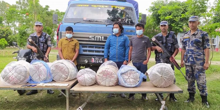 ठुलो परिणाम गाँजासहित सुनसरीबाट तीनजना पक्राउ