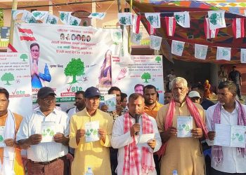 भोक्राहा नरसिंहमा काङ्ग्रेस जिताउन सक्रियता