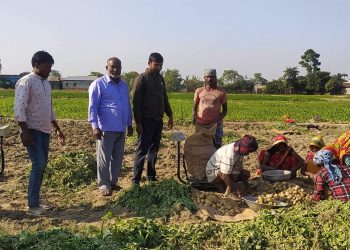 कोसीमा सफल बन्दै राज्यस्थान मोडेल खेती