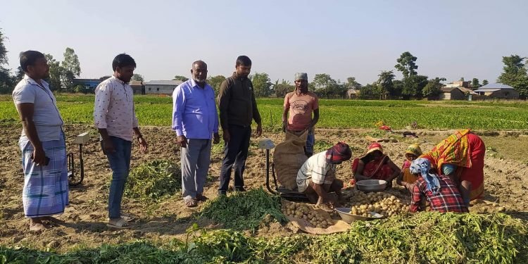 कोसीमा सफल बन्दै राज्यस्थान मोडेल खेती