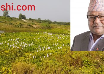 जगदीशको विकास : कार्यकर्ता पोस्न करोडौं लगानी,भयो बालुवामा पानी