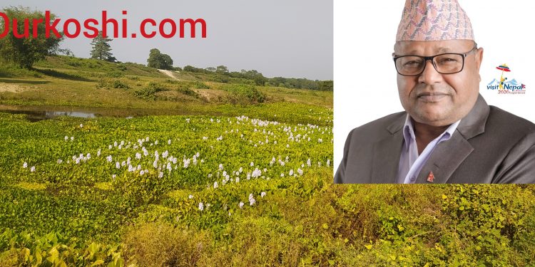 जगदीशको विकास : कार्यकर्ता पोस्न करोडौं लगानी,भयो बालुवामा पानी