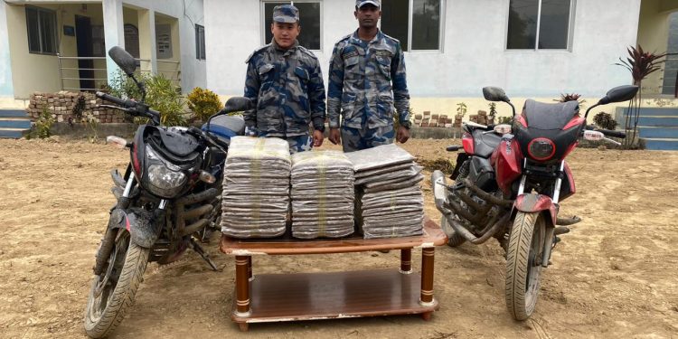 बर्जु गाउँपालीकाबाट ५५ केजी गाँजा बरामद
