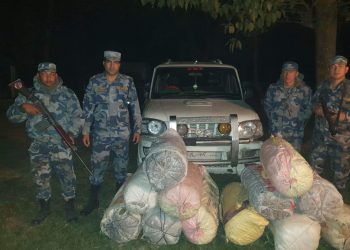 सशस्त्र प्रहरीद्वारा ठुलो परिणाममा गाँजा बरामद