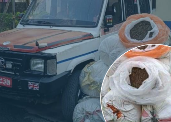 बिरामी बोक्ने एम्बुलेन्समा गाँजा ओसारपसार