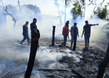 हरिपुरमा आगलागी, चारलाख बराबरको क्षति