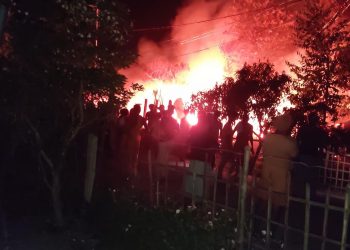 कोशीमा आगलागी : ३८ वटा बाख्रा,११ वटा घर जलेर नष्ट