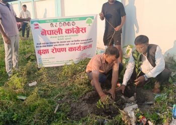 भोक्राहा नरसिंहमा मनाइयो बीपी जन्मजयन्ती