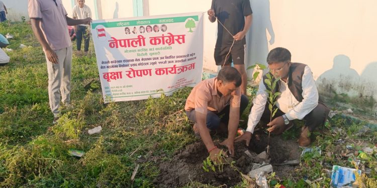 भोक्राहा नरसिंहमा मनाइयो बीपी जन्मजयन्ती