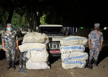 तस्करी गर्दैगर्दा गाँजा बरामद