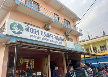 पत्रकार महासंघ कोशीको अध्यक्षमा तीनजनाको उम्मेदवारी