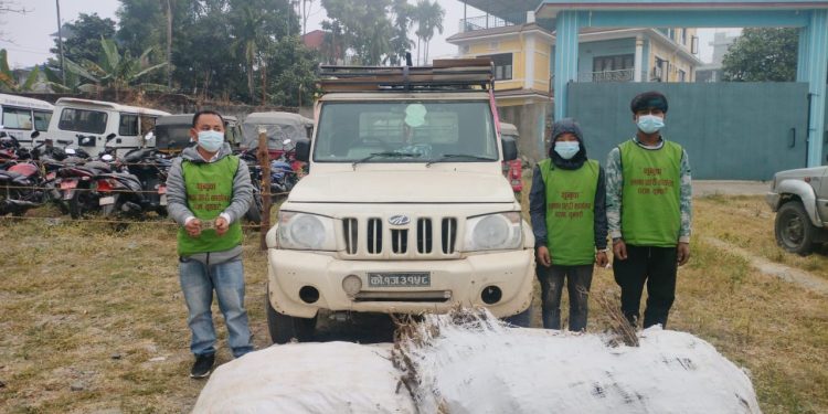 गाडीमा गाँजा तस्करी गर्ने तीनजना पक्राउ